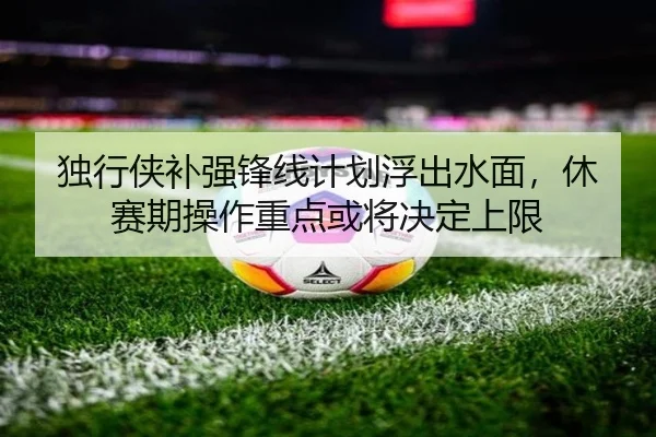 独行侠补强锋线计划浮出水面，休赛期操作重点或将决定上限